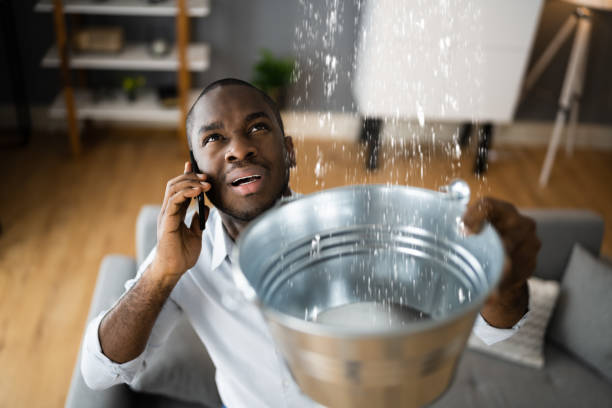 Best Flood restoration services  in Agua Fria, NM