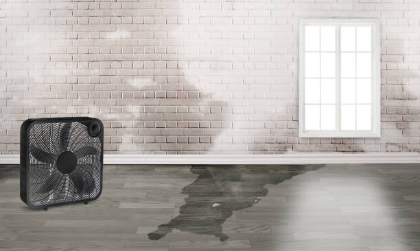 Best Emergency water damage restoration  in Agua Fria, NM
